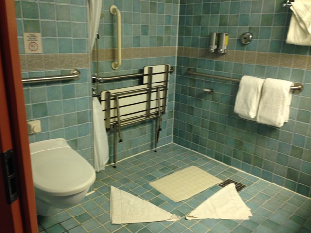 Bathroom Shower 3
